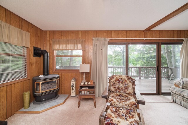 6387 N Larson Rd, Fountain, MI 49410 - living room featuring carpet, wooden walls, and a wood stove