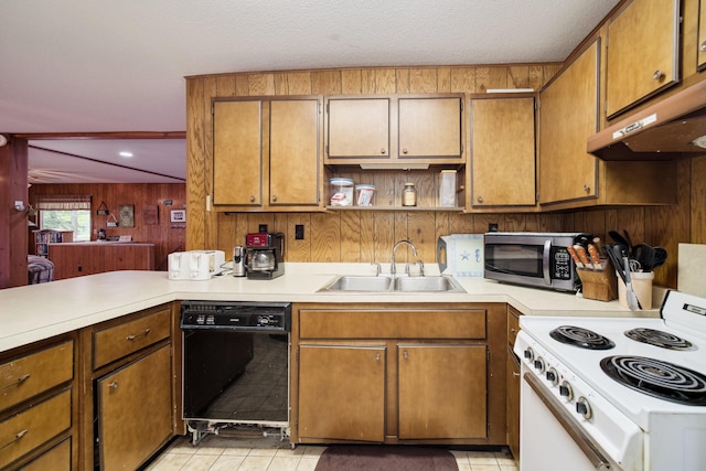 6387 N Larson Rd, Fountain, MI 49410 - kitchen with stainless steel microwave, stove, a sink, black dishwasher, and wooden walls