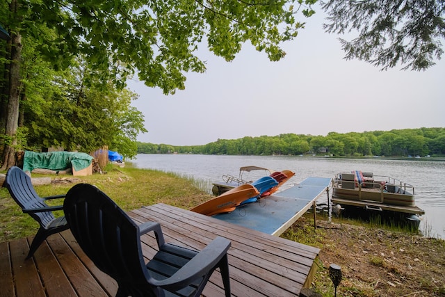 6387 N Larson Rd, Fountain, MI 49410 - dock with a water view and a view of trees