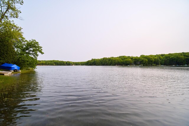 6387 N Larson Rd, Fountain, MI 49410 - water view