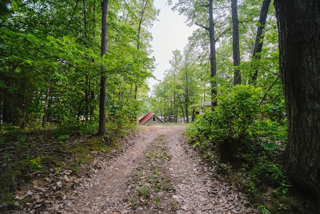 6387 N Larson Rd, Fountain, MI 49410 - view of dirt / gravel driveway featuring a forest view