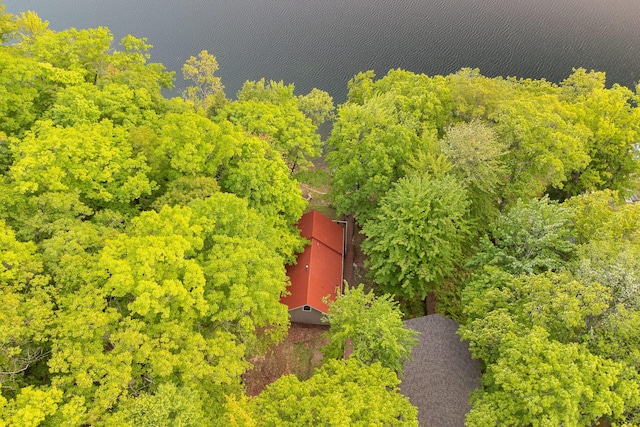 6387 N Larson Rd, Fountain, MI 49410 - view from above of property featuring a forest