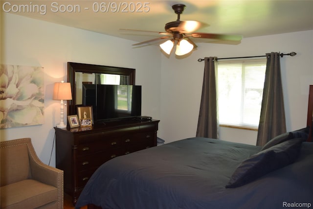 6009 Lancaster Dr, Flint, MI 48532 - bedroom with ceiling fan