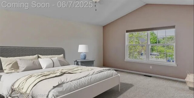 3913 Radcliff Dr Unit 134, Canton, MI 48188 - photo 15
