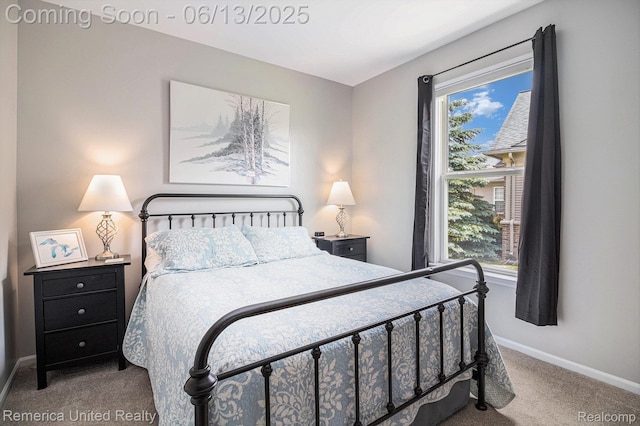 24168 Grand Traverse Ave, Flat Rock, MI 48134 - bedroom featuring carpet floors and multiple windows