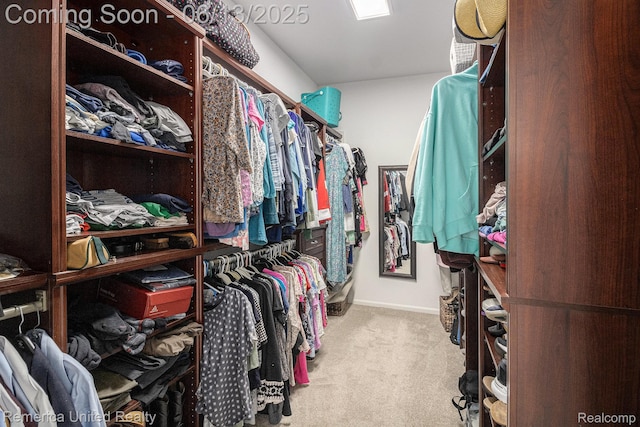 24168 Grand Traverse Ave, Flat Rock, MI 48134 - walk in closet with carpet