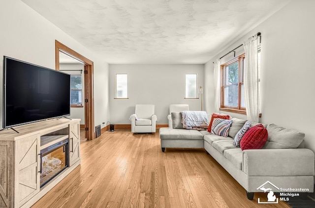 448 Borgess Ave, Monroe, MI 48162 - living area featuring light wood-type flooring, baseboards, and a textured ceiling