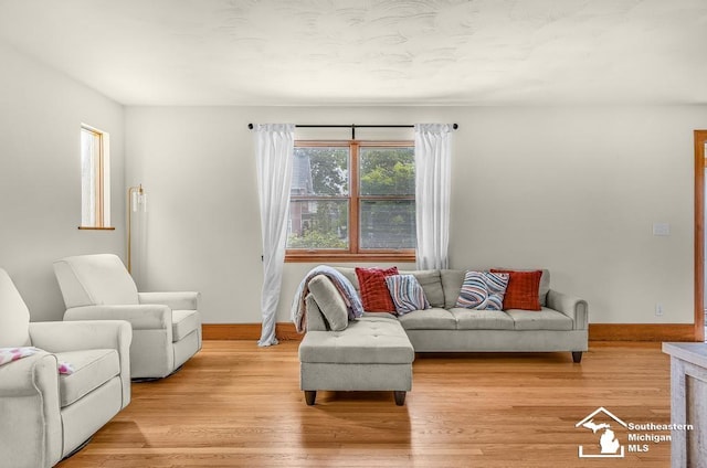 448 Borgess Ave, Monroe, MI 48162 - living area with light wood finished floors and baseboards