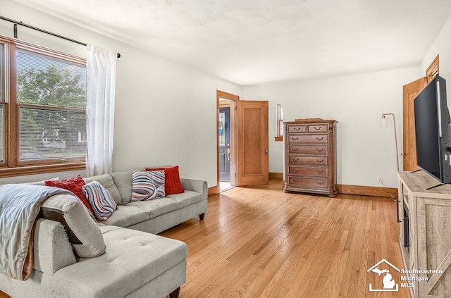 448 Borgess Ave, Monroe, MI 48162 - living room featuring light wood-style flooring and baseboards