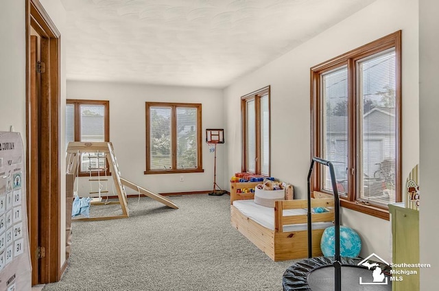 448 Borgess Ave, Monroe, MI 48162 - game room with carpet flooring and baseboards