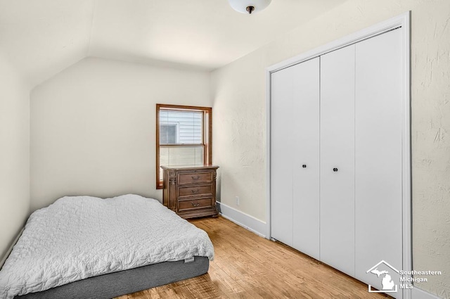 448 Borgess Ave, Monroe, MI 48162 - bedroom featuring light wood finished floors, a closet, and vaulted ceiling