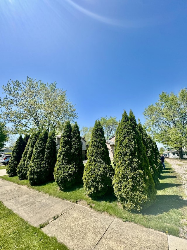 15338 Flanders St, Southgate, MI 48195 - view of home's community