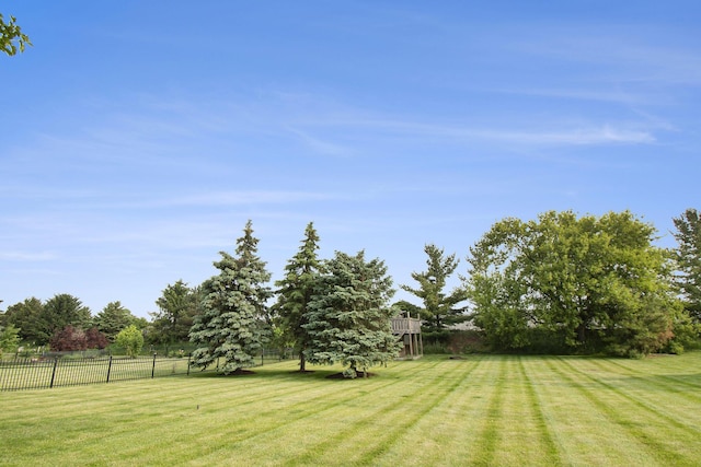 743 Fieldview Dr, Grand Ledge, MI 48837 - view of yard