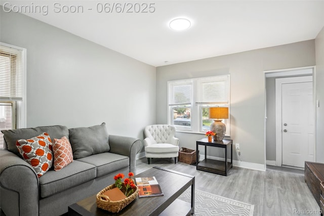 1512 Marion Ave, Lincoln Park, MI 48146 - living room with light wood-style floors and baseboards