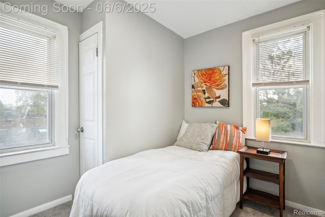 1512 Marion Ave, Lincoln Park, MI 48146 - carpeted bedroom with baseboards and multiple windows