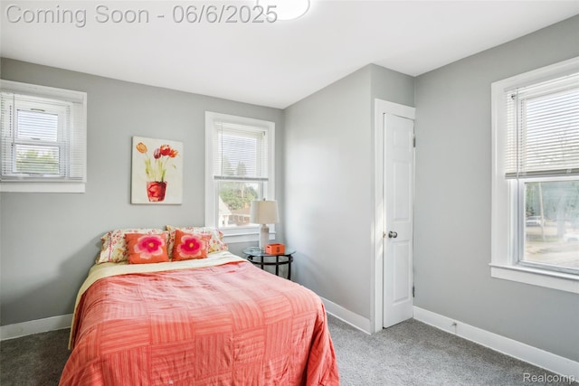 1512 Marion Ave, Lincoln Park, MI 48146 - carpeted bedroom with baseboards