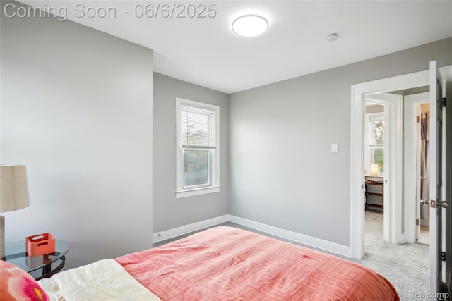 1512 Marion Ave, Lincoln Park, MI 48146 - bedroom with baseboards and carpet flooring