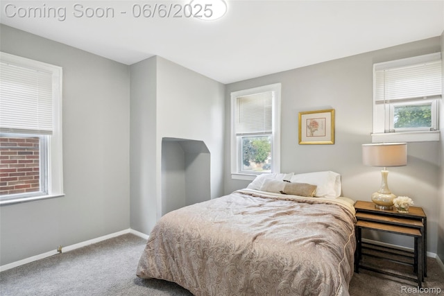 1512 Marion Ave, Lincoln Park, MI 48146 - bedroom with carpet floors and baseboards