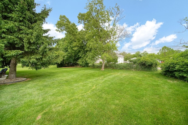 106 Nicole Dr, Brooklyn, MI 49230 - photo 62