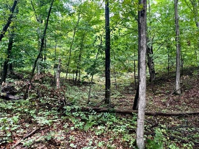 Traverse Ave, Benzonia, MI 49616 - photo 2