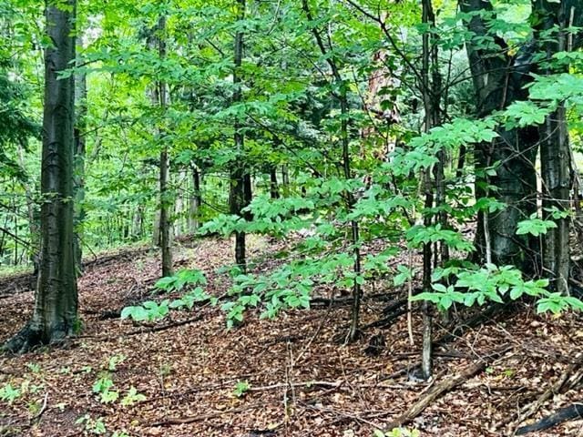 Traverse Ave, Benzonia, MI 49616 - photo 4