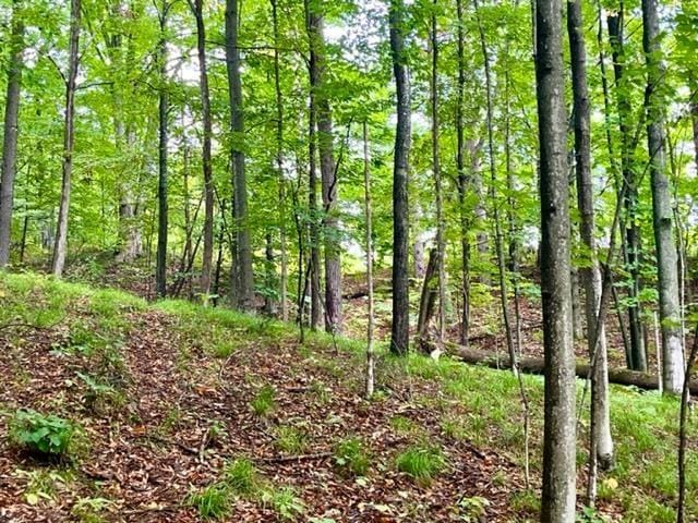 Traverse Ave, Benzonia, MI 49616 - photo 3
