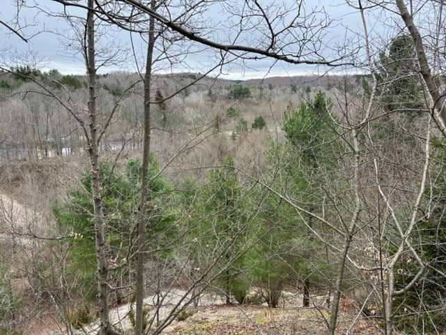 Traverse Ave, Benzonia, MI 49616 - photo 7