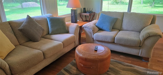 16744 Arnold Rd, Gregory, MI 48137 - living room featuring wood finished floors
