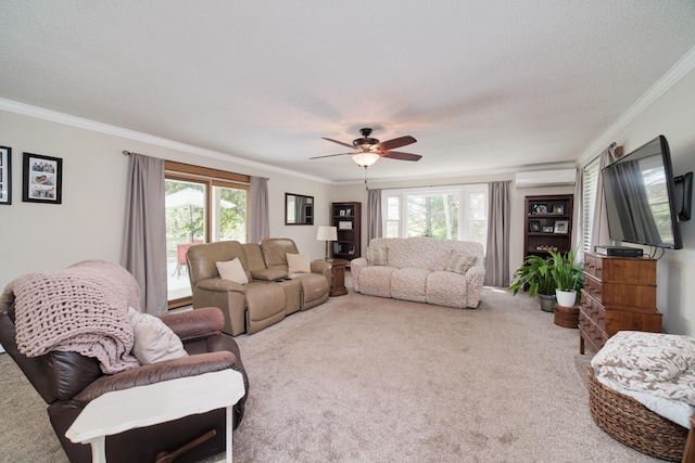 819 Elm St, Manistee, MI 49660 - carpeted living room with a wall mounted air conditioner, ornamental molding, a ceiling fan, and a textured ceiling