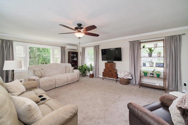 819 Elm St, Manistee, MI 49660 - living area featuring an AC wall unit, crown molding, carpet floors, a ceiling fan, and a textured ceiling