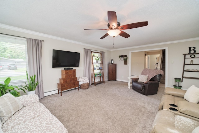 819 Elm St, Manistee, MI 49660 - living room with crown molding, ceiling fan, carpet floors, baseboards, and a textured ceiling