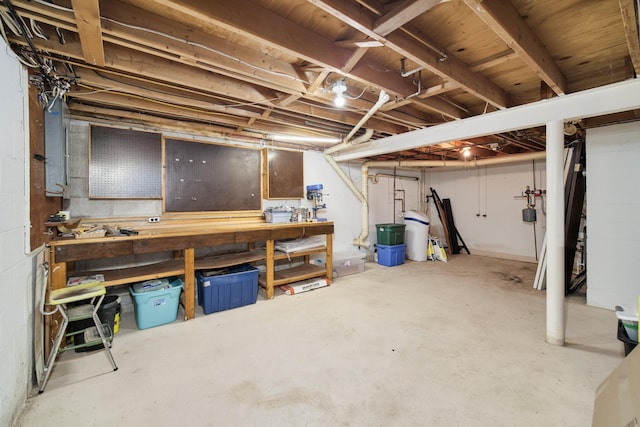819 Elm St, Manistee, MI 49660 - unfinished basement with a workshop area