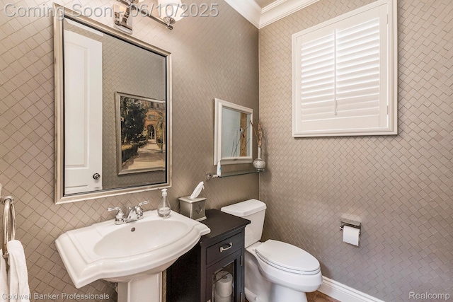 742 Emmons Ave, Birmingham, MI 48009 - half bath with crown molding, toilet, and a sink