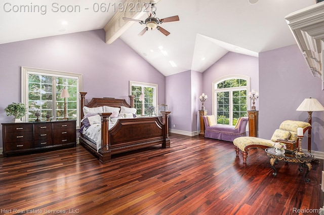 11384 Scarborough Dr, Shelby Twp, MI 48315 - bedroom with dark wood finished floors, multiple windows, high vaulted ceiling, beamed ceiling, and ceiling fan