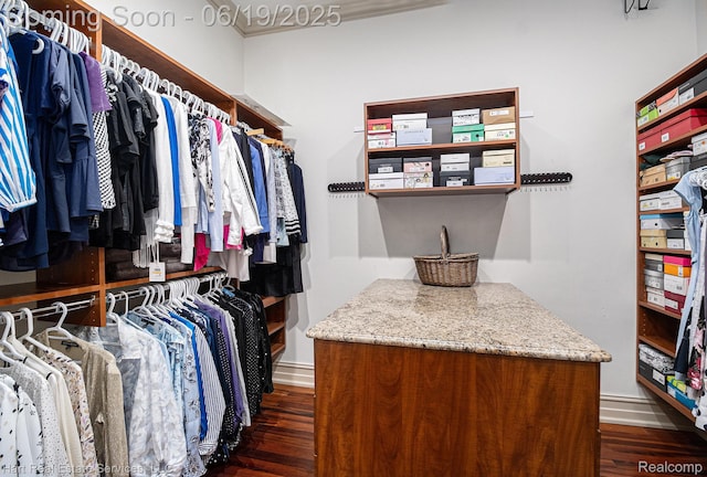 11384 Scarborough Dr, Shelby Twp, MI 48315 - walk in closet featuring dark wood-style floors