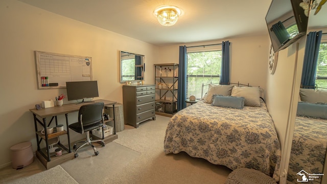 27028 Winchester St, Trenton, MI 48183 - bedroom with light colored carpet, multiple windows, and an office area