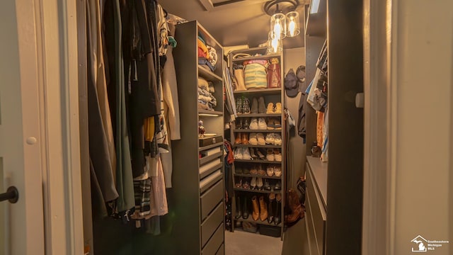 27028 Winchester St, Trenton, MI 48183 - view of walk in closet