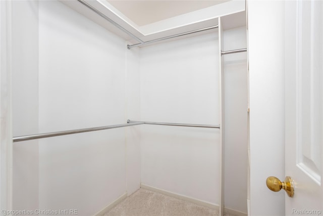 45330 Stonehedge Dr Unit 2, Plymouth, MI 48170 - spacious closet with carpet flooring
