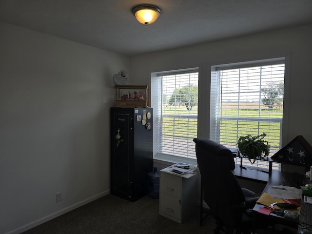 4975 E Bennington Rd, Durand, MI 48429 - photo 21