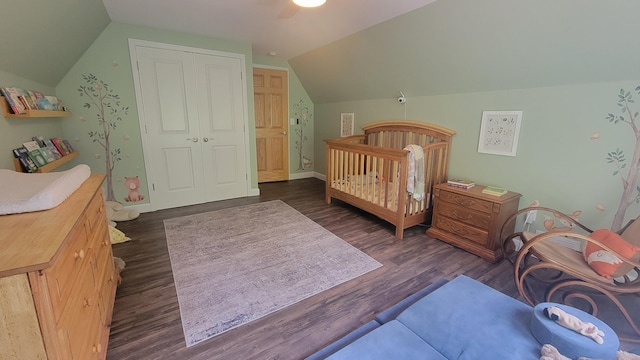 11390 Patterson Rd, Ravenna, MI 49451 - bedroom with vaulted ceiling, dark wood-type flooring, and a closet