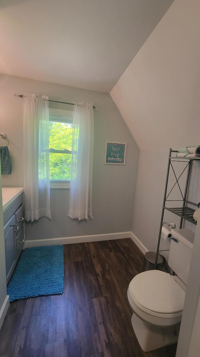 11390 Patterson Rd, Ravenna, MI 49451 - bathroom with wood finished floors, toilet, baseboards, vanity, and vaulted ceiling