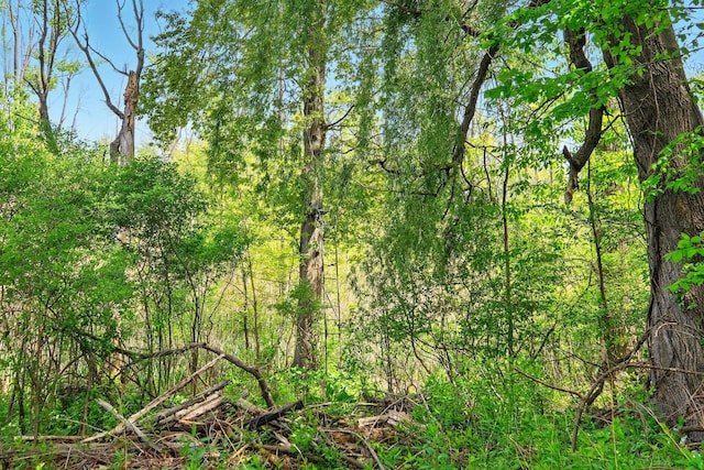 2877 Bessemer Rd, Coloma, MI 49038 - view of wooded area