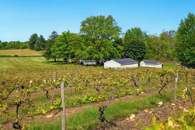 2877 Bessemer Rd, Coloma, MI 49038 - view of yard