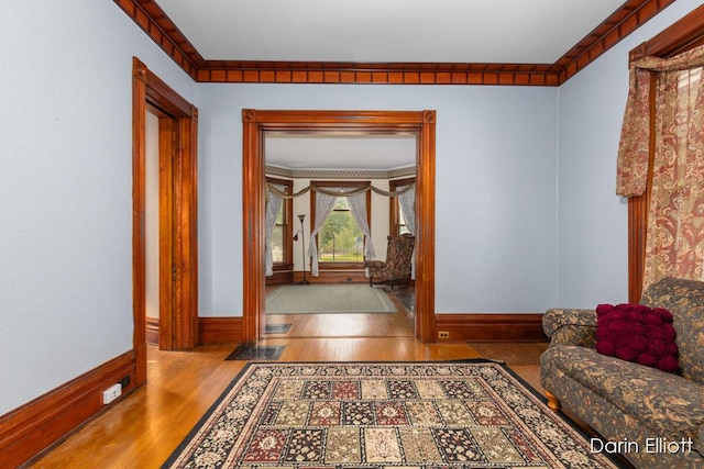 216 E Main St, Ionia, MI 48846 - corridor featuring wood finished floors and baseboards