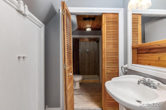 216 E Main St, Ionia, MI 48846 - bathroom featuring a sink, a shower stall, a closet, wood finished floors, and toilet