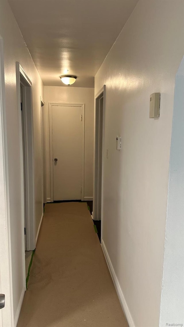 19978 Grandview St, Detroit, MI 48219 - hallway with carpet and baseboards