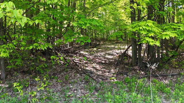 N Jacobson Rd, Northport, MI 49670 - photo 10