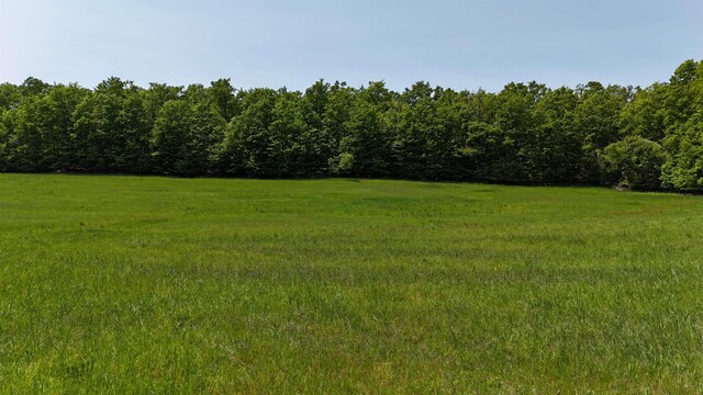 N Jacobson Rd, Northport, MI 49670 - photo 4