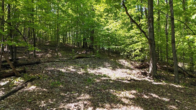 N Jacobson Rd, Northport, MI 49670 - photo 8