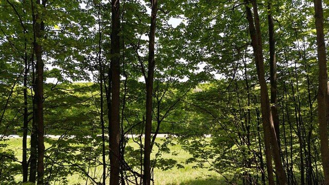 N Jacobson Rd, Northport, MI 49670 - photo 9